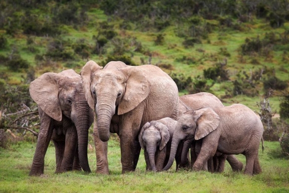 Kafta-Shiraro Wildlife Park